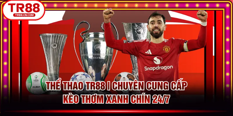 Các biện pháp xử lý khi gặp sự cố với link vào TR88