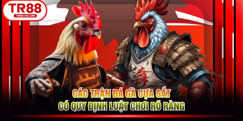 Các trận đá gà cựa sắt có quy định luật chơi rõ ràng