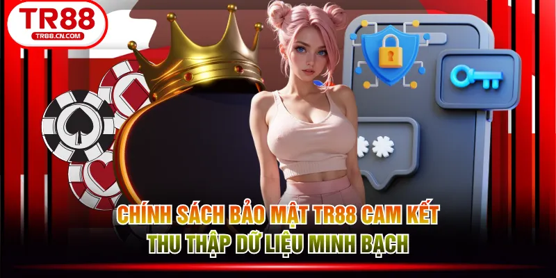 Chính sách bảo mật TR88 cam kết thu thập dữ liệu minh bạch