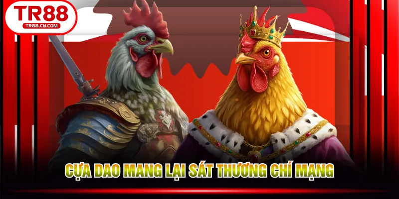Cựa dao mang lại sát thương chí mạng Cựa dao mang lại sát thương chí mạng