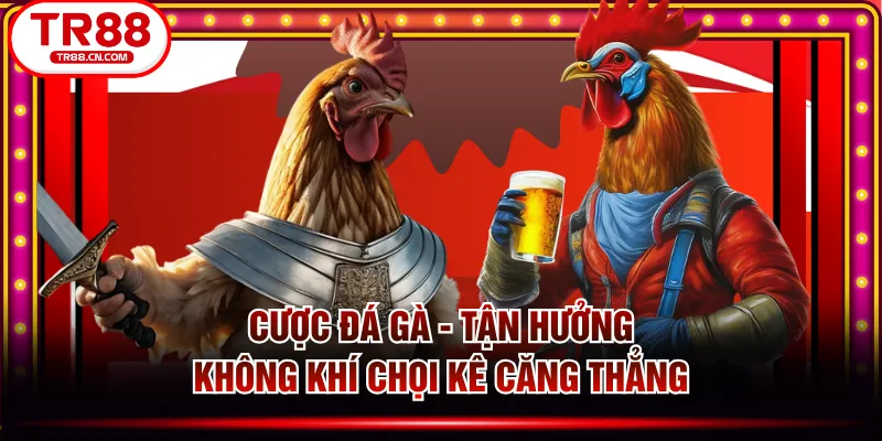 Cược Đá Gà - Tận Hưởng Không Khí Chọi Kê Căng Thẳng