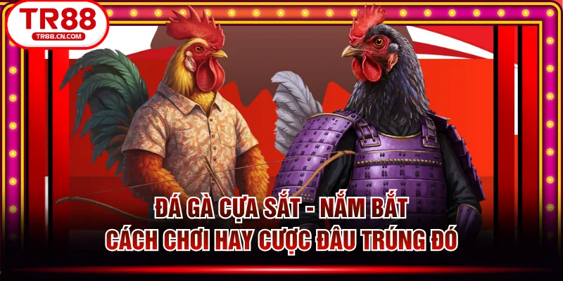 Đá Gà Cựa Sắt - Nắm Bắt Cách Chơi Hay Cược Đâu Trúng Đó