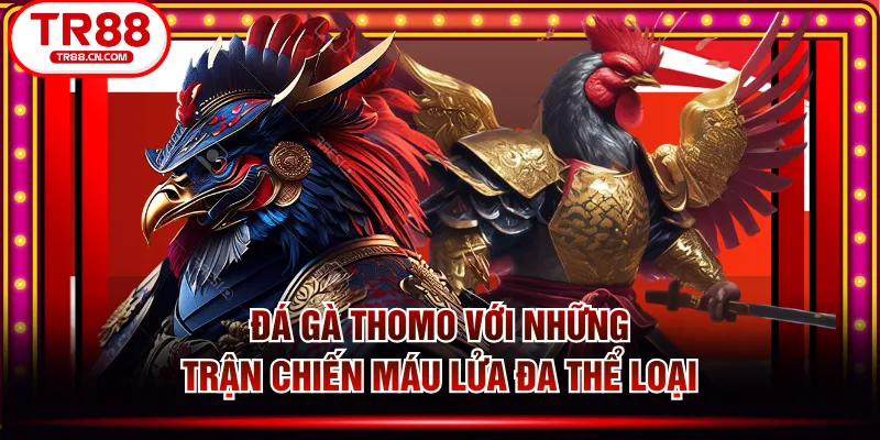 Đá Gà Thomo Với Những Trận Chiến Máu Lửa Đa Thể Loại