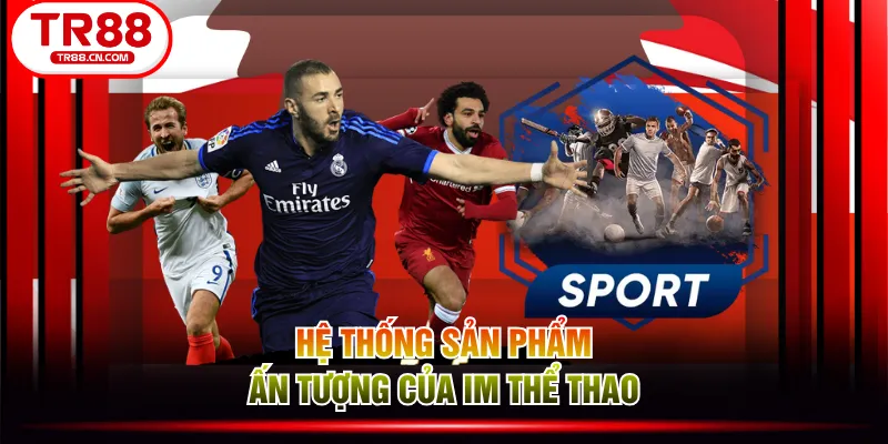 Hệ thống sản phẩm ấn tượng của IM thể thao