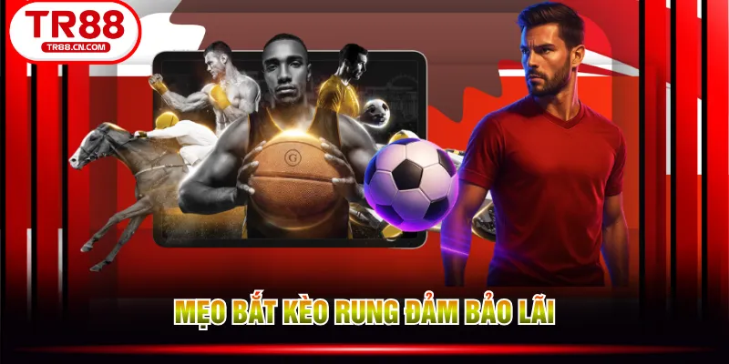 Mẹo bắt kèo rung đảm bảo lãi