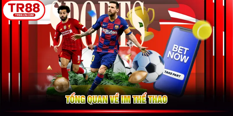 Tổng quan về IM thể thao